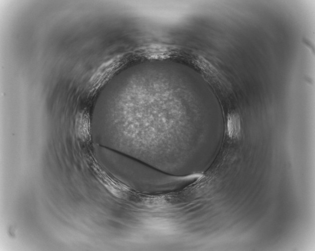 X0000101441444200807281012