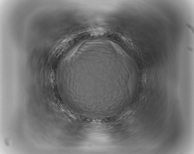 X0000101441445200807281012