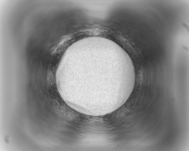 X0000101441446200807281012