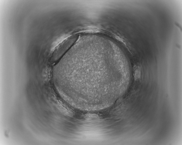 X0000101441448200807281012