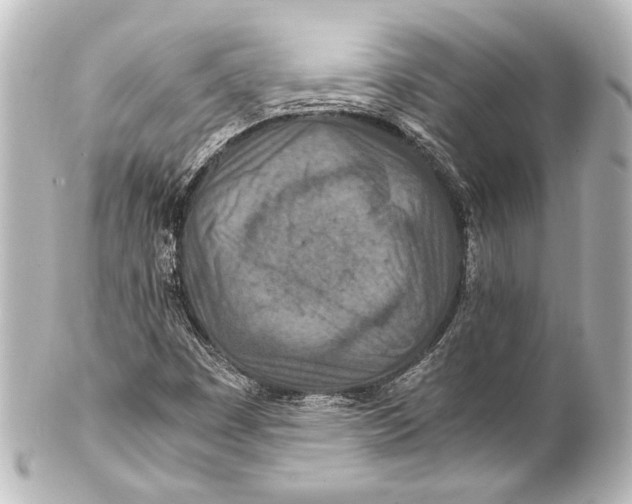 X0000101441449200807281012