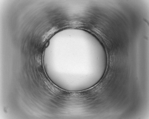 X0000101441451200807281012