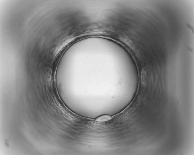 X0000101441452200807281012