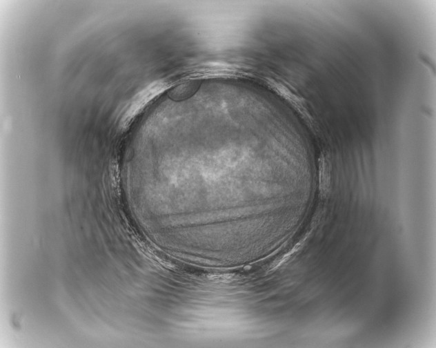 X0000101441453200807281012