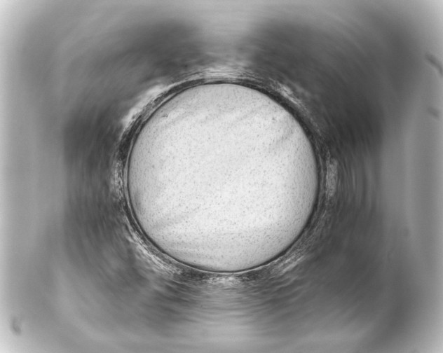 X0000101441454200807281012