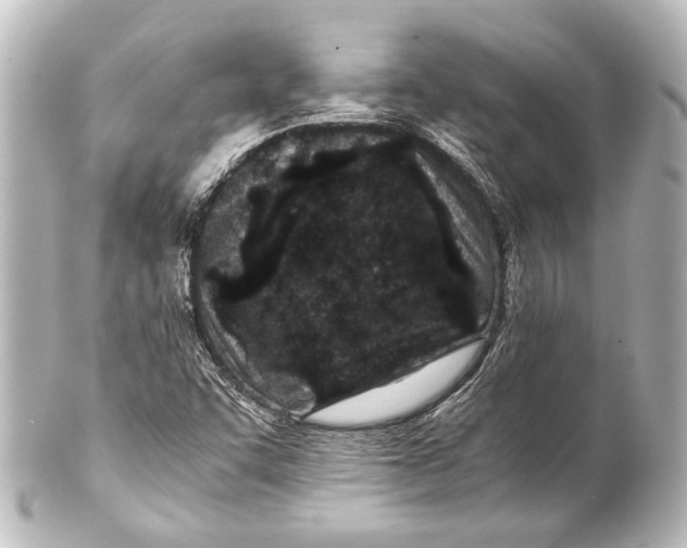 X0000101441455200807281012