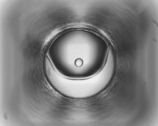 X0000101441456200807281012