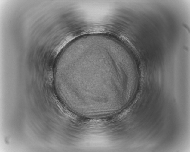 X0000101441457200807281012