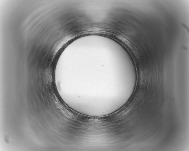 X0000101441458200807281012