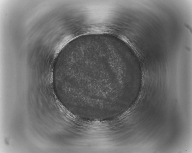 X0000101441459200807281012