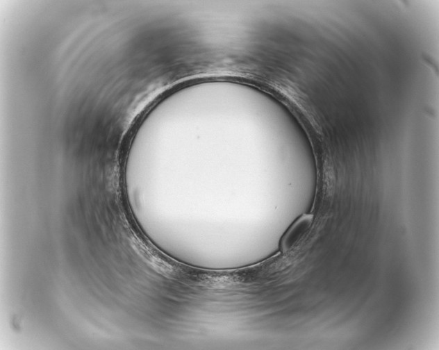 X0000101441460200807281012