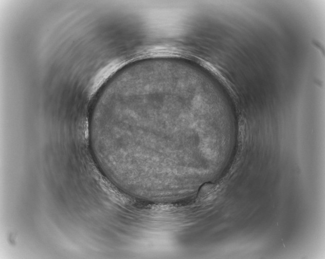 X0000101441461200807281012