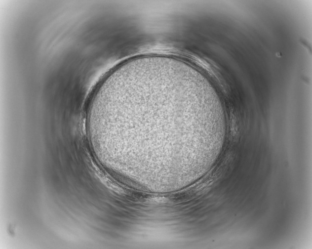 X0000101441462200807281012