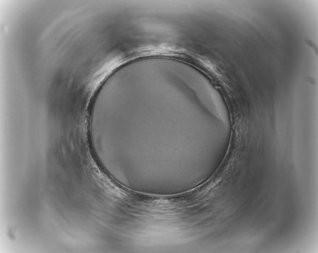 X0000101441463200807281012