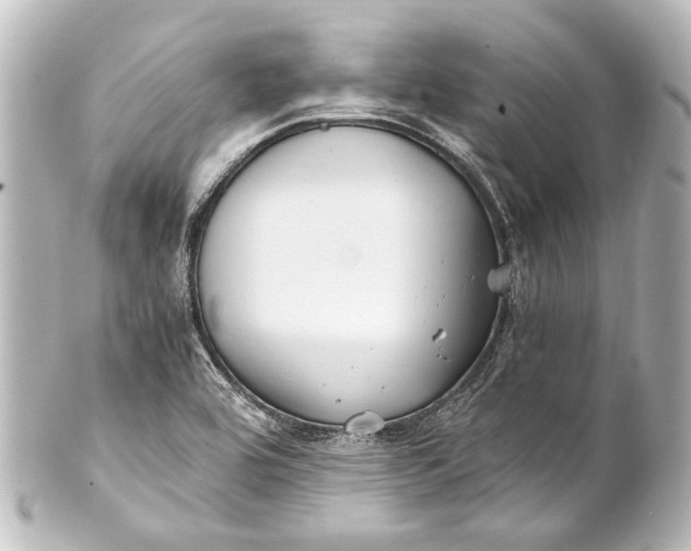 X0000101441464200807281012