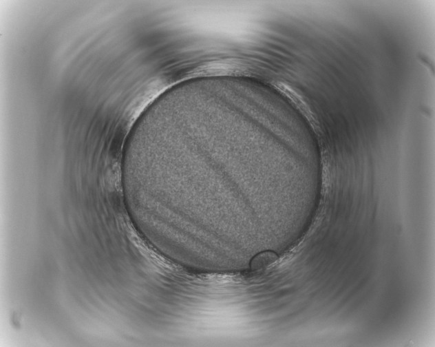 X0000101441465200807281012