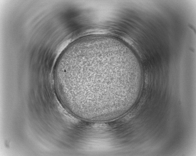 X0000101441466200807281012