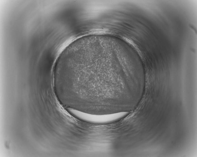 X0000101441467200807281012