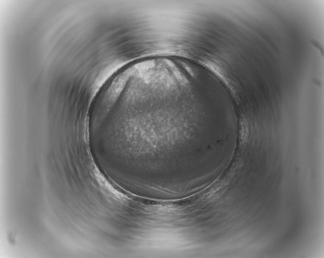 X0000101441468200807281012