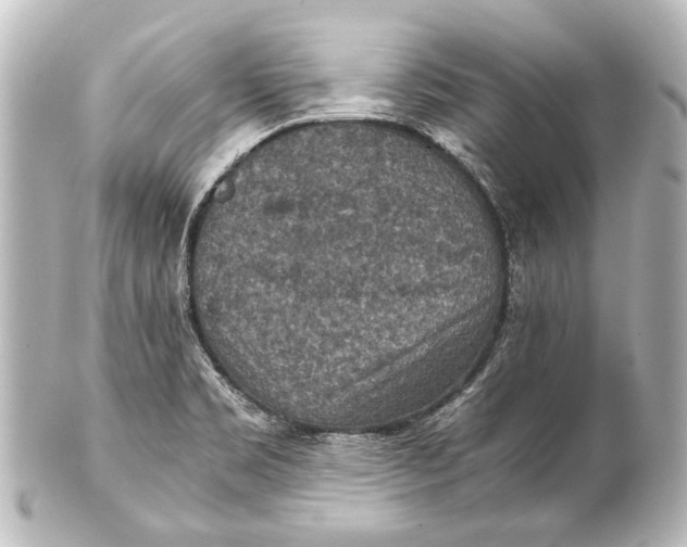 X0000101441469200807281012