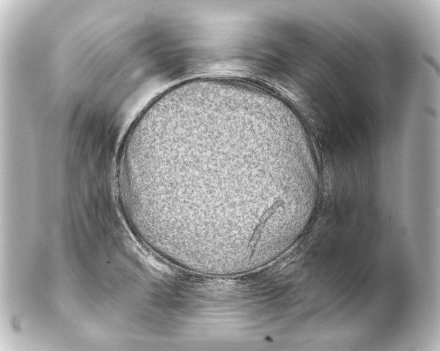 X0000101441470200807281012