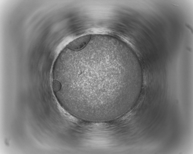 X0000101441471200807281012