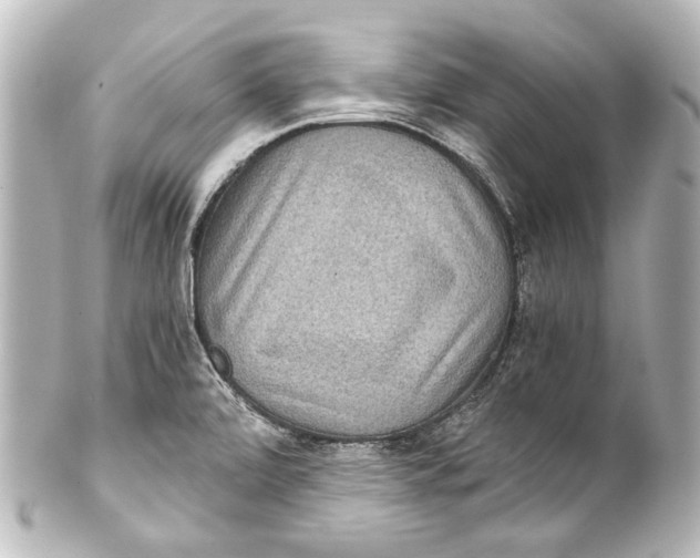 X0000101441472200807281012