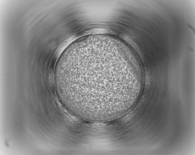 X0000101441473200807281012