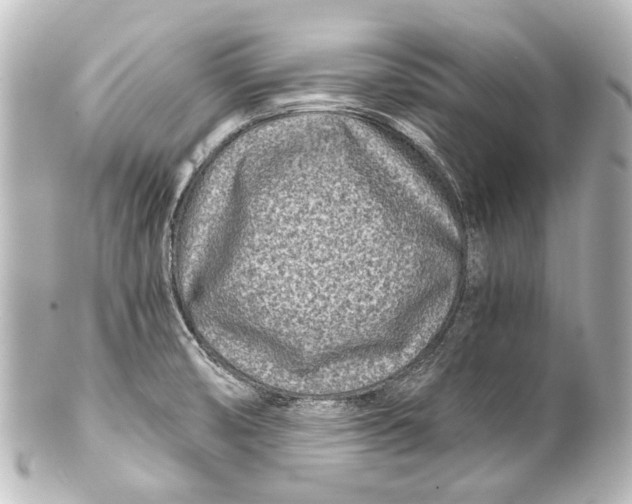 X0000101441474200807281012