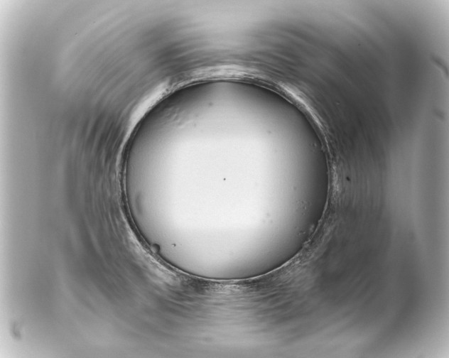 X0000101441475200807281012