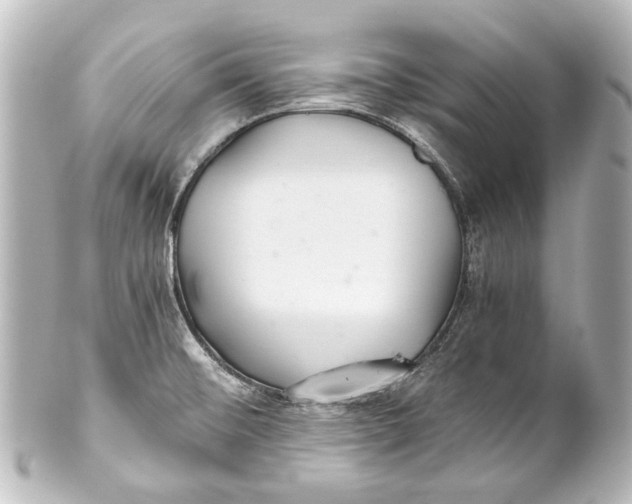 X0000101441476200807281012