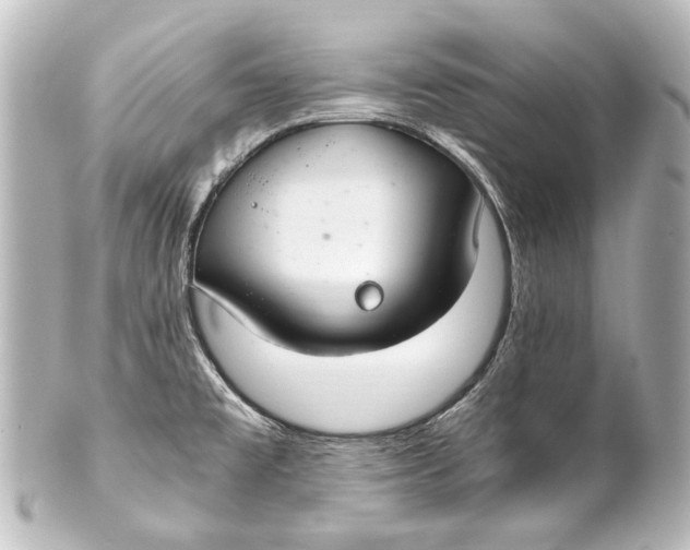 X0000101441477200807281012