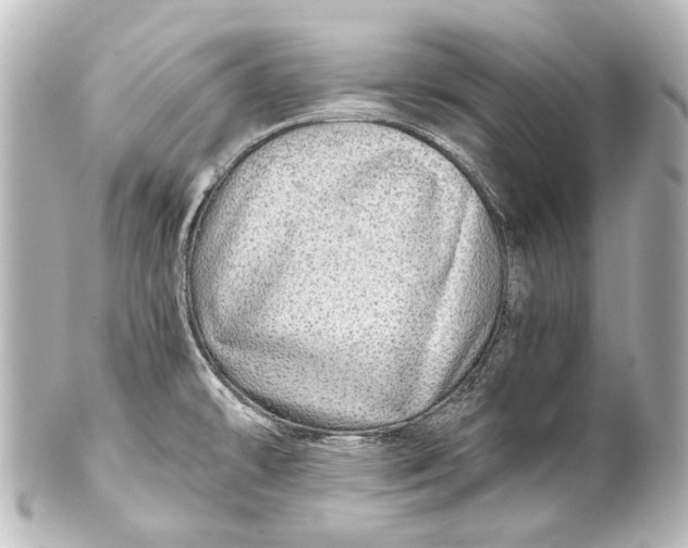 X0000101441478200807281012