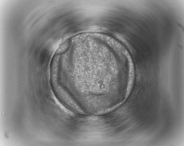 X0000101441479200807281012