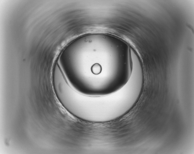 X0000101441480200807281012