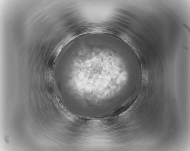 X0000101441481200807281012