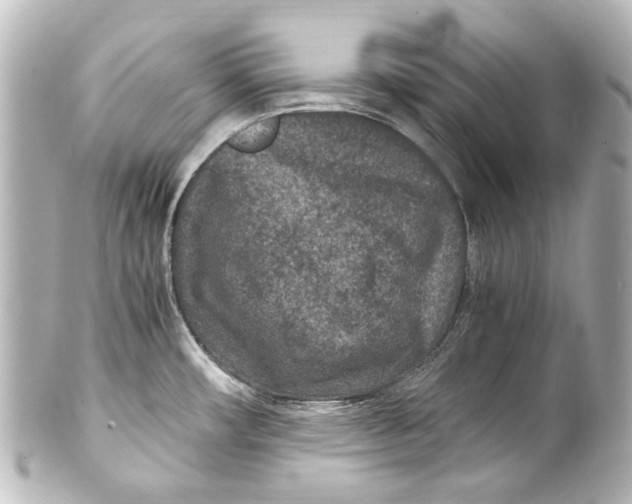 X0000101441482200807281012