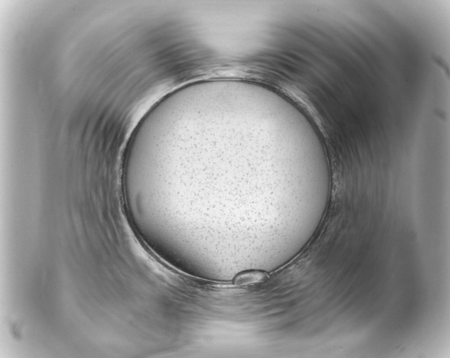 X0000101441483200807281012