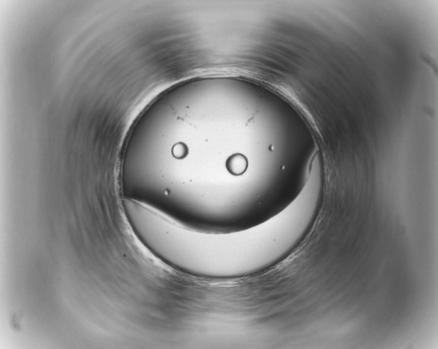 X0000101441484200807281012