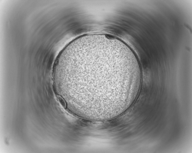 X0000101441485200807281012