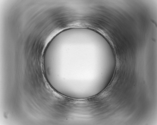 X0000101441486200807281011