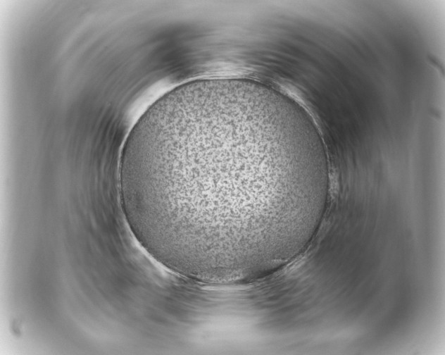 X0000101441487200807281011