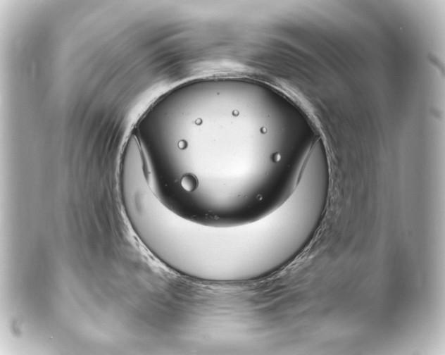 X0000101441488200807281011