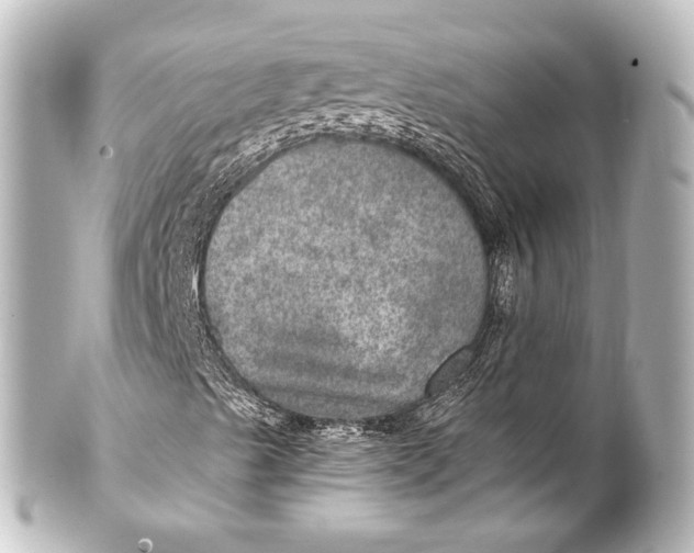 X0000101441489200807281011