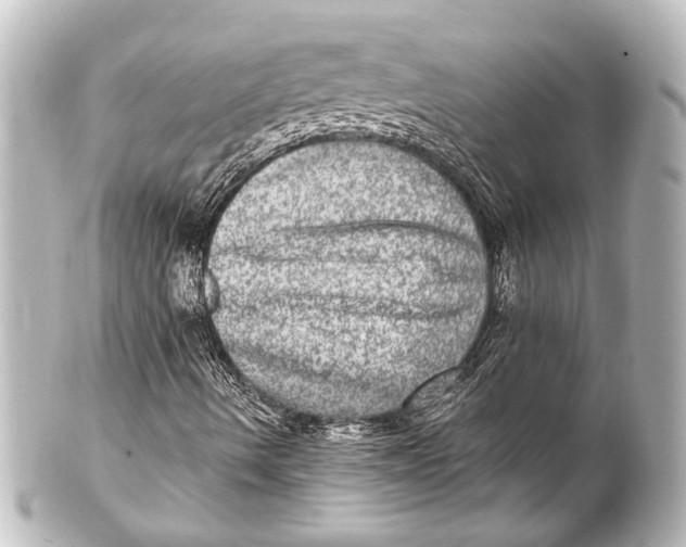 X0000101441490200807281011