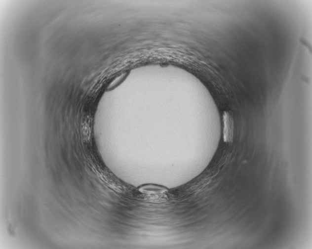 X0000101441491200807281011