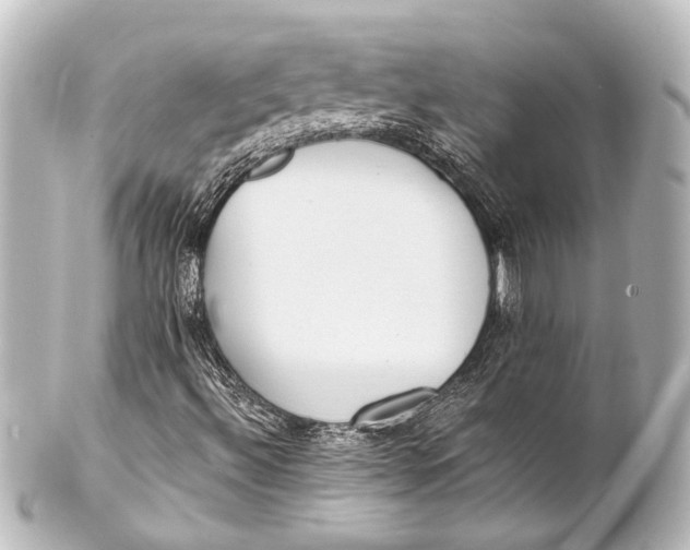 X0000101441492200807281011