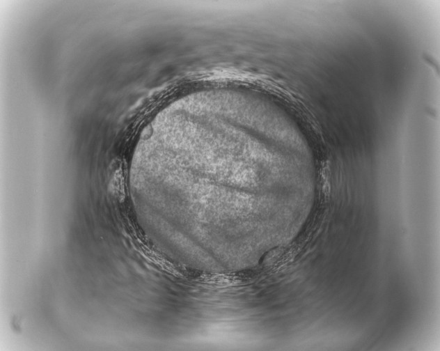 X0000101441493200807281011