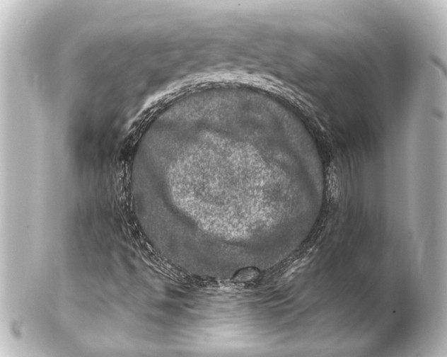 X0000101441494200807281011