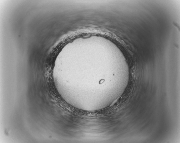 X0000101441495200807281011